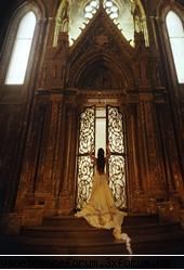 Poezii - very interesting poems BV - Fan Fic